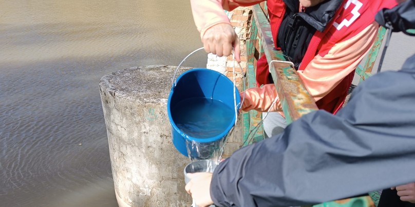 Cinco años de seguimiento revelan la presencia generalizada de microplásticos en ríos y playas de España