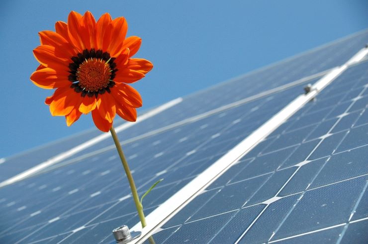 Los paneles solares aumentan su presencia en empresas