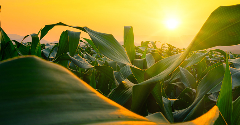 Circular Place entra en el catálogo de buenas prácticas ambientales de la CEOE