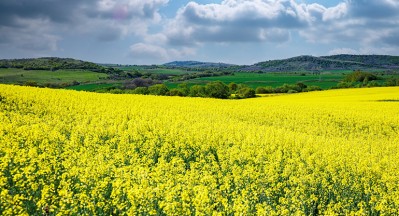 APPA pide reconocer sin límites los ahorros de CO2 de los biocombustibles para acelerar la descarbonización del transporte