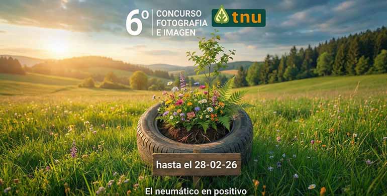 De residuo a recurso: el neumático se reinventa a través del arte y la cultura visual