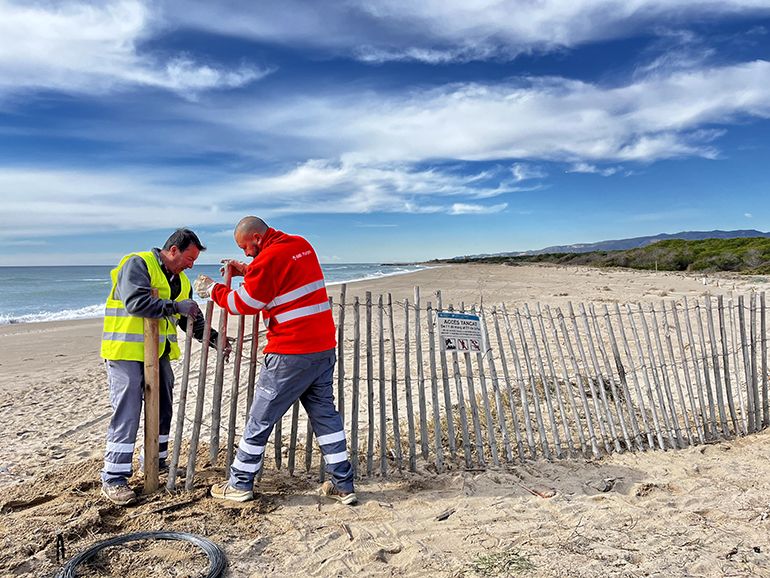 Cerrada la playa del Remolar de Viladecans hasta finales de julio para favorecer la nidificación de especies protegidas