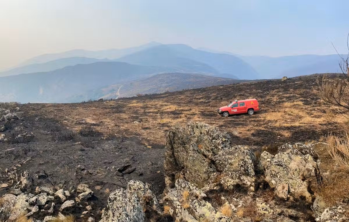 Medidas que debería incluir un pacto de Estado para hacer frente a los incendios forestales