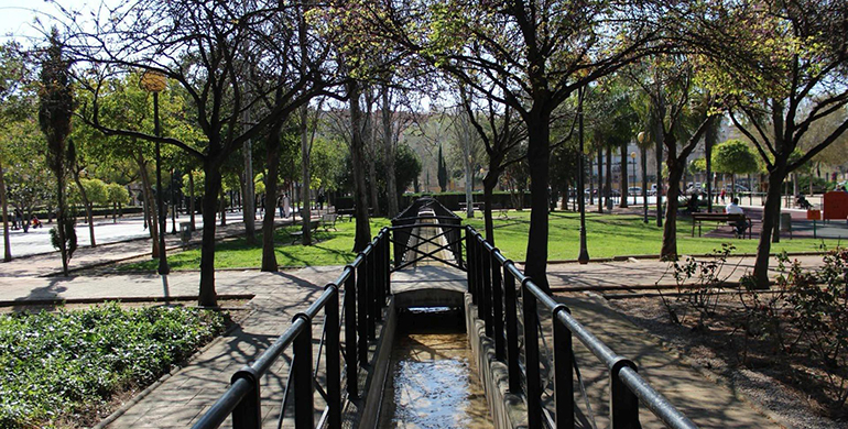 Valencia, reconocida por primera vez como Ciudad Arbórea del Mundo