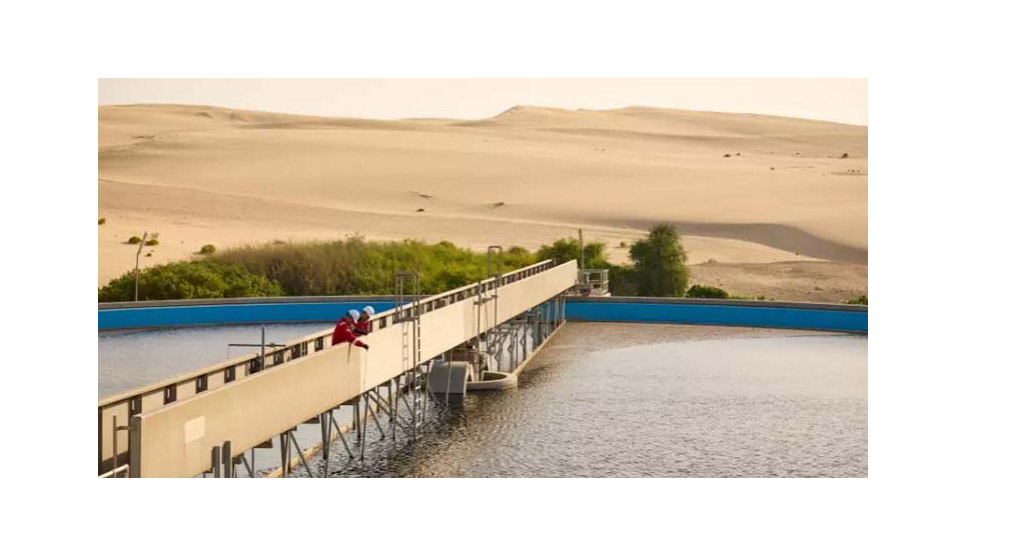 veolia arabia