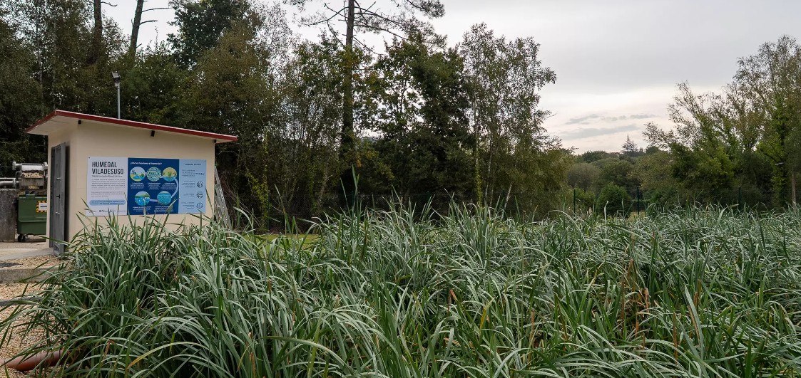 El Humedal Viladesuso mejora la calidad del agua de Cecebre y favorece la biodiversidad