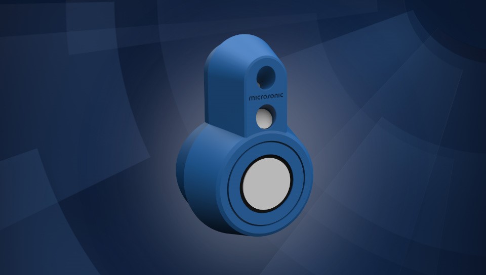 wws microsonic