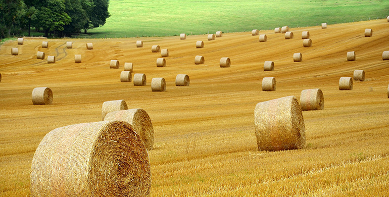 La PTI Clima lidera un nuevo contrato europeo Copernicus para adaptar la agricultura al cambio climático